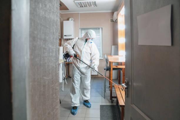 Best Biohazard Mold Removal  in Truckee, CA