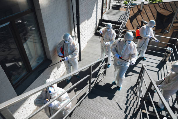 Mold Remediation for Rental Properties in Truckee, CA