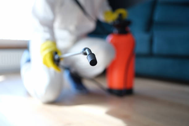 Best Asbestos and Lead Testing During Mold Inspection  in Truckee, CA
