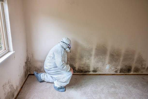 Best Airborne Mold Testing  in Truckee, CA